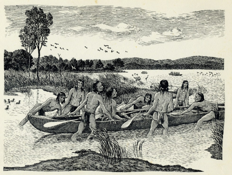 Cornu_senasqua_300dpi