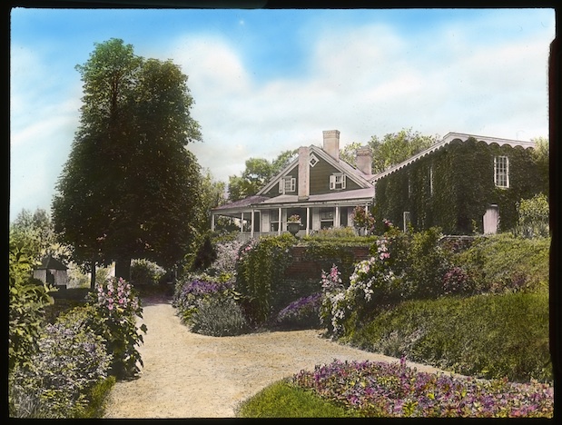 OFEO-SG-NY001001-619px