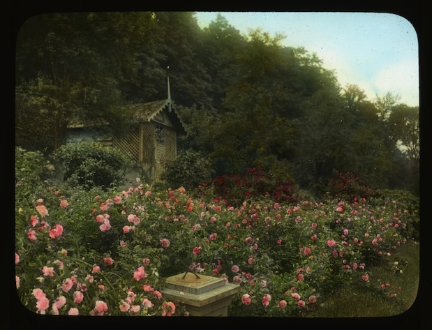 OFEO-SG-NY001003-619px