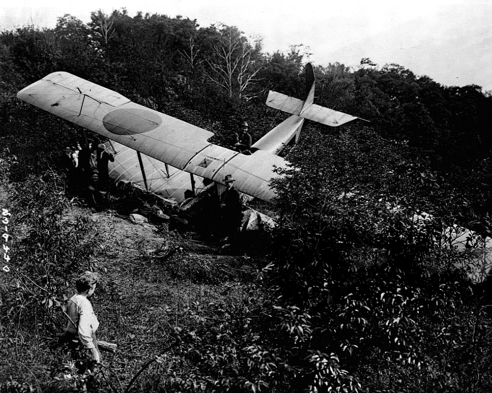 Crashed rum plane